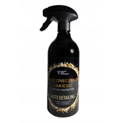 Auto Detailing Paint...