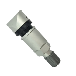TPMS-06 Metal valve for CUB...