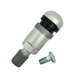 Metal Valve for...